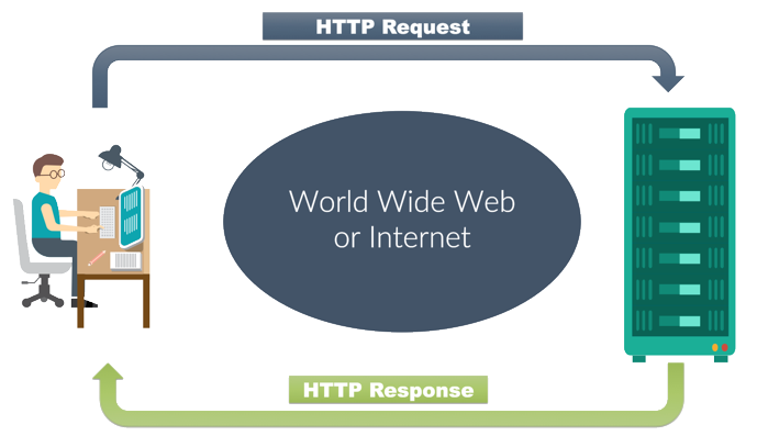 HTTP request and response cycle